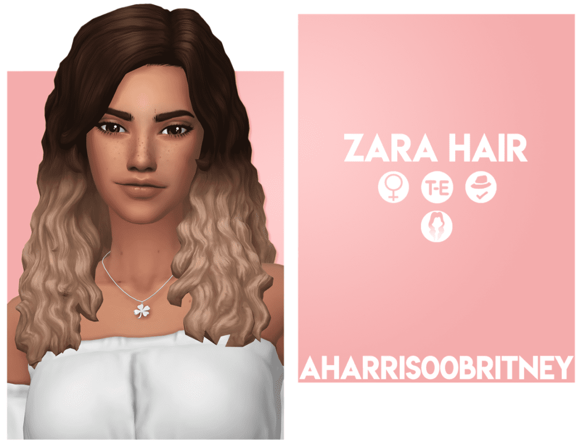 Zara Hair