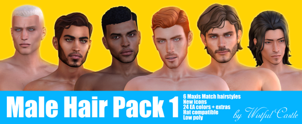 Male Hair Pack 1